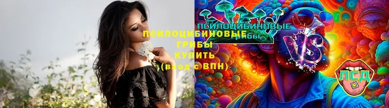 Псилоцибиновые грибы ЛСД  Красавино 